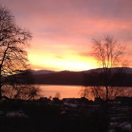Fjordapartments Holmen 19a * Balestrand